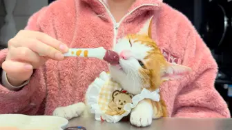 叫叫吃播日记 今日惨遭职业滑铁卢！！工作不保！