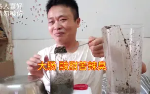 大肠，黑蒜，腊八蒜，黑冰片榨汁，酸甜苦辣臭，回味无穷！