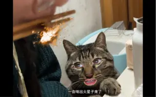 猫咪：你说干嘛