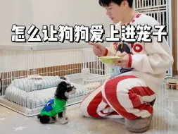 简单步骤，让狗狗学会听口令回笼子