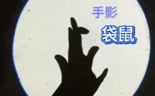 教你用手影做袋鼠