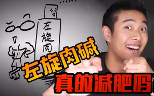 左旋肉碱真的有用吗？【XJBL健身小讲堂】