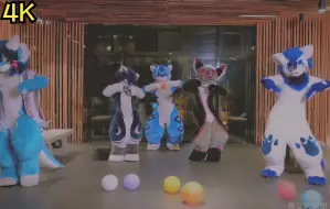 [AI 转 4K][主苍又的窝窝 和其他 的 Fursuit Dance] 兽兽们 卖萌舞UNI /毛茸茸超可爱