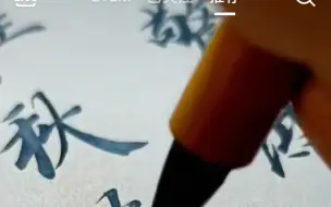 【TikTok】外网看中国书法