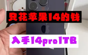 小白只花苹果14的预算，入手苹果14pro1TB