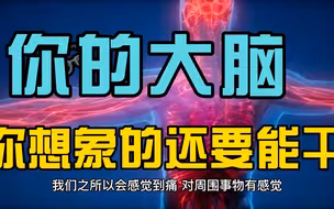 你的大脑，远比你想象的还要能干