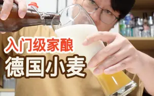 【酿酒】多数自酿爱好者入门必酿德国小麦
