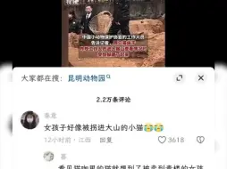 “好像被拐进大山的小猫”
