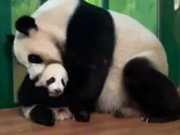 萌萌：我的乖乖宝贝怎么也亲不够