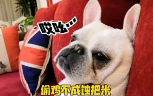 猫：是不是玩不起？