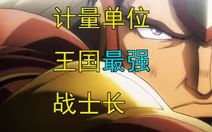 计量单位——王国最强战士长