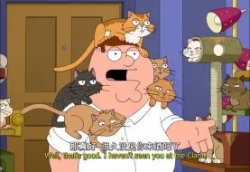 猫咖现状