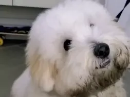 洗澡两个小时 瞬间不想要了 谁懂呀