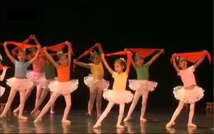 幼儿园红色舞蹈剧目《阳光下的我们》