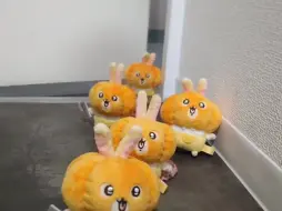 哈人的南瓜乌萨奇