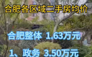 合肥全市各区域二手房2023年4月价格整理。合肥二手房整体  1.63万元。