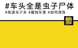 开了趟高速,车头都是虫子尸体怎么办？