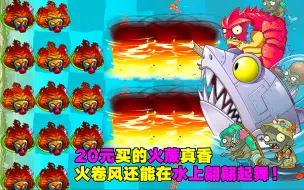 20元买M200级地狱火蕨！值吗？