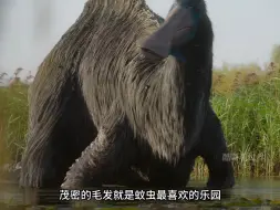 如此奇特的恐龙竟然也会干这种事