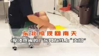 东北惊现回南天？爱凑热闹的广东网友在线“支招”