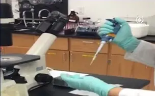 【生物医学实验室日常】MTT检测IC50的实验技巧