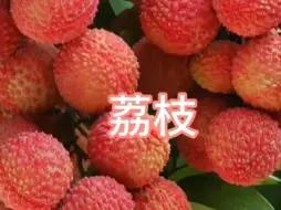 好吃的水果，荔枝