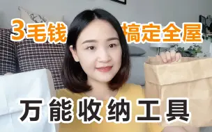 牛皮纸袋的妙用| 3毛钱就能搞定全屋收纳，应用广泛还省钱！