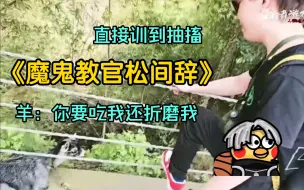【running】魔鬼教官松间辞给羊军训，羊被整惨了