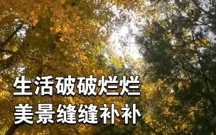 应届毕业生们，秋招再忙也要记得看看秋天哦