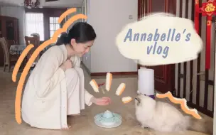 西安Day 1 Vlog✨安安静静的在家也很幸福 | 留学归来 | 有爸妈照顾的感觉真好 | 凤凤第一次回家 | 撸猫