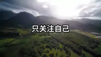只关注自己