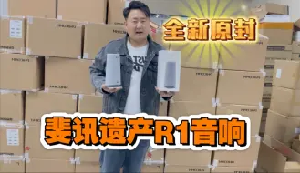 收了批全新原封斐讯遗产R1音响 智能AI音响 语音操控 哈曼旗下的Infinity品牌原装喇叭单元 音质不输千元音响