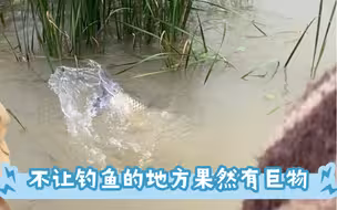 遛鱼一个小时才见真面目，鱼竿都断了，幸好跑得快，差一点就被管理员抓了