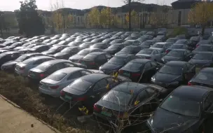 在一片空地上发现大量荒废的新车 原来是……