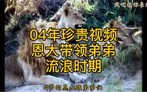 2004年坏男孩联盟老大恩格拉拉里克带领弟弟们流浪阶段，既像大哥又像父亲，没有恩格拉拉里克，就不会有史特级励志悲壮mapogo联盟