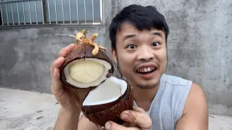 海南牛人既然徒手开椰宝