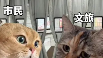 尔滨，你真细心啊～