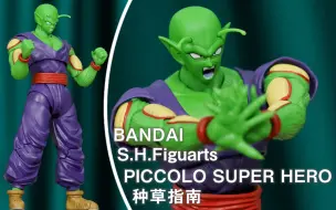 【种草指南】万代 S.H.Figuarts 短笛 超级英雄