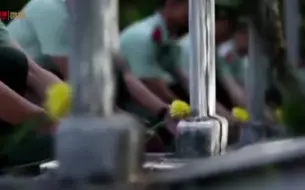 中国为什么花大力气禁毒？这不是电影大片，这是真实的缉毒现场