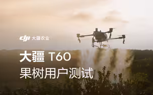 大疆T60果树用户测试