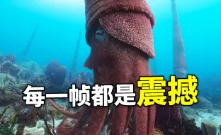2023年史诗级纪录片！高科技还原史前星球，每一帧都是震撼