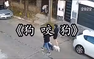 “狗 咬 狗”