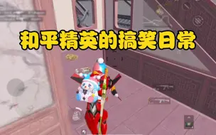 《我就是猪猪之王 顺猪爷》