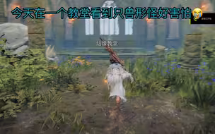 新手刚玩不小心把乌龟老师秒了怎么办