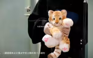 什么？扭扭棒已经进化到这种程度了？！