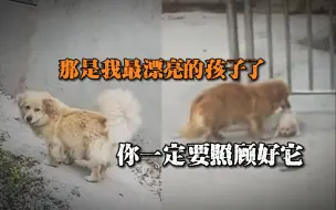 “让我再做它一个月的妈妈，一个月后我亲自把它送给你”