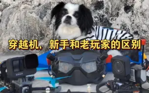 穿越机新人和老玩家的区别
