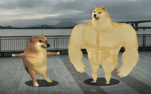 什么是兄弟情，什么是两肋插刀