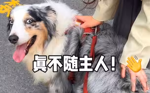 up女生，狗真不随主人！！！