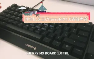 【青轴】Cherry MX 1.0性价比之王，这清脆的鸟鸣声，你醉了吗？